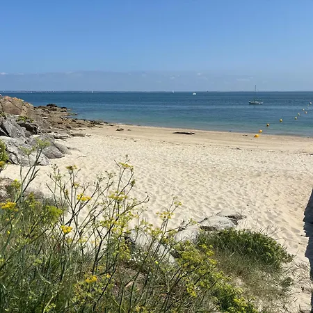 Spacieux Et Clair Proche Des Plages De La Baie Quiberon